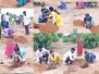 arupukotai tree plantation