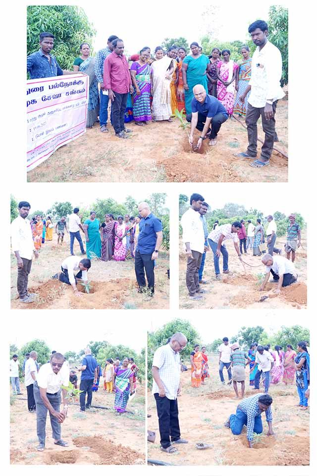 APK-tree-planting-2